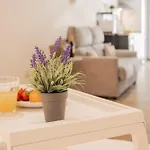 Apartamento Visitval Flats 1 *