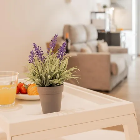 Apartamento Visitval Flats 1 *